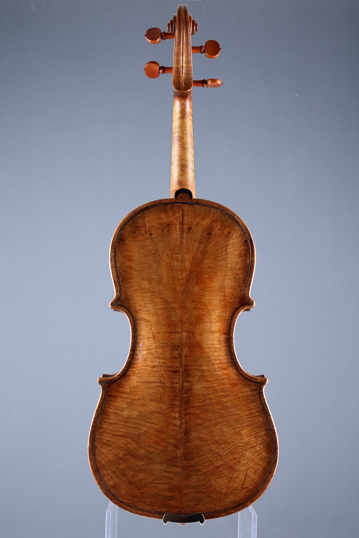 Ciotti Leone - Siena / Italien Anno 1891 - G-659